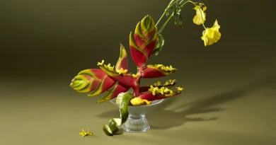 BLUMEN: Redefining Floral Art With Creative Compositions